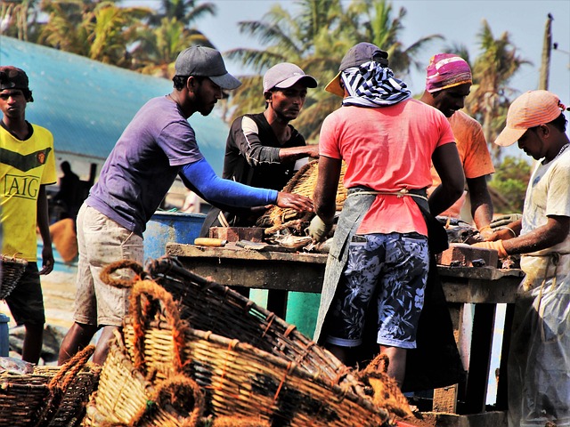 L’employabilité des jeunes en Côte d’ivoire : quelles solutions