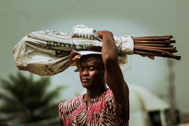 Le chômage des jeunes au Cameroun : défis et perspectives