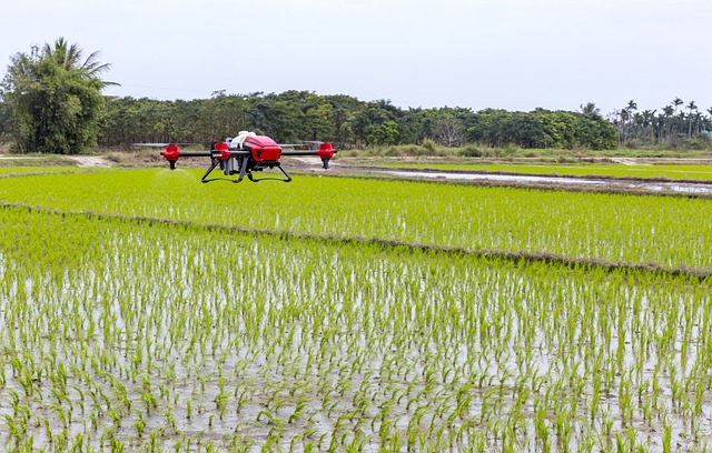 Au cœur de la révolution agricole africaine