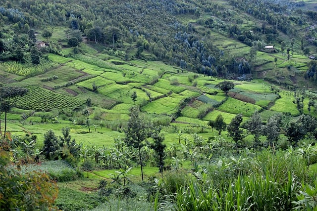 Le Burundi : entre défis et espoirs