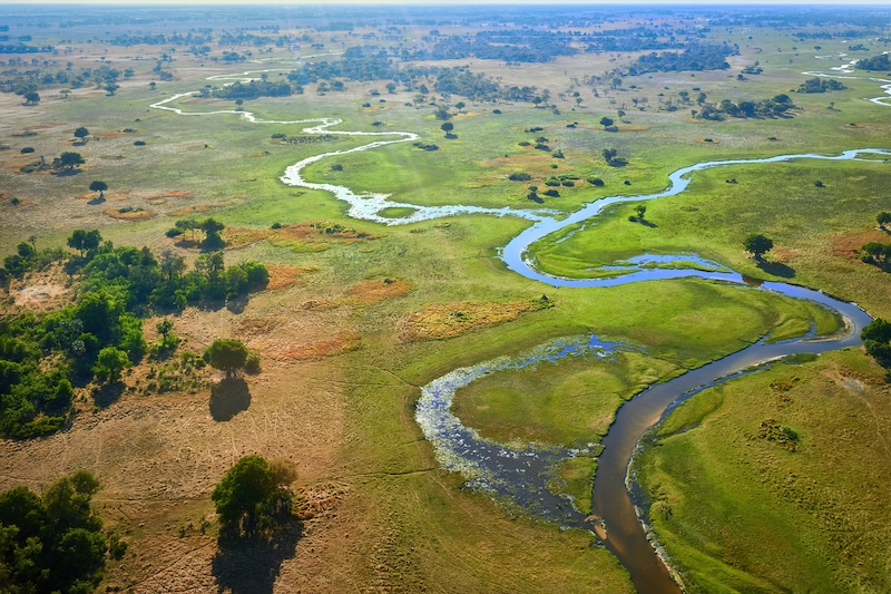 Le delta de l&rsquo;Okavango, l&rsquo;oasis du Kalahari