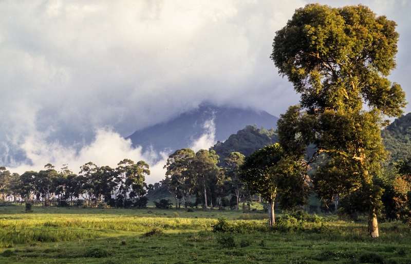 Virunga, le pari d’une paix électrique